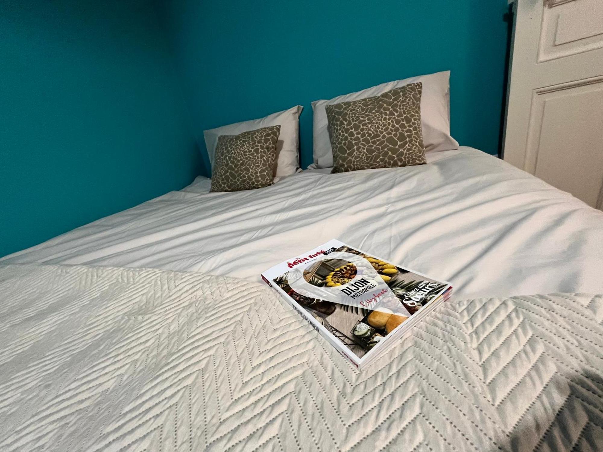 Ca Se Passe Ici Apartment Dijon Ngoại thất bức ảnh